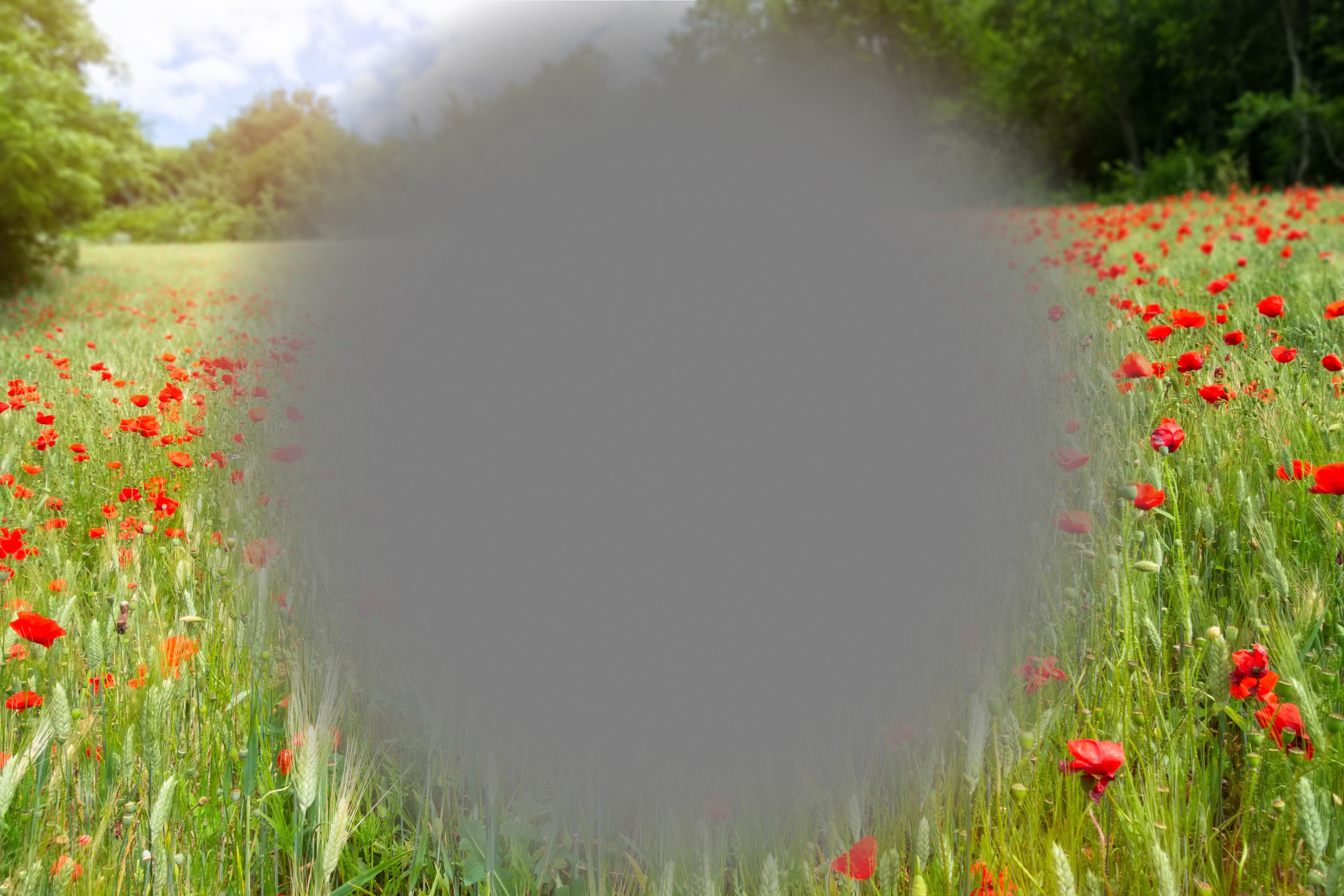 Trouble Focusing Eyes