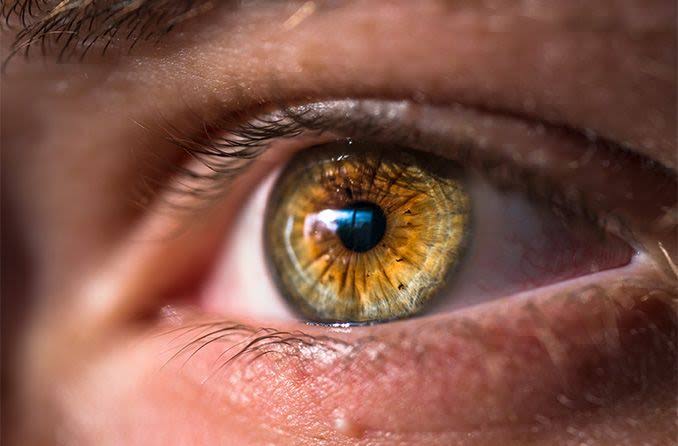 Hazel eyes example 2