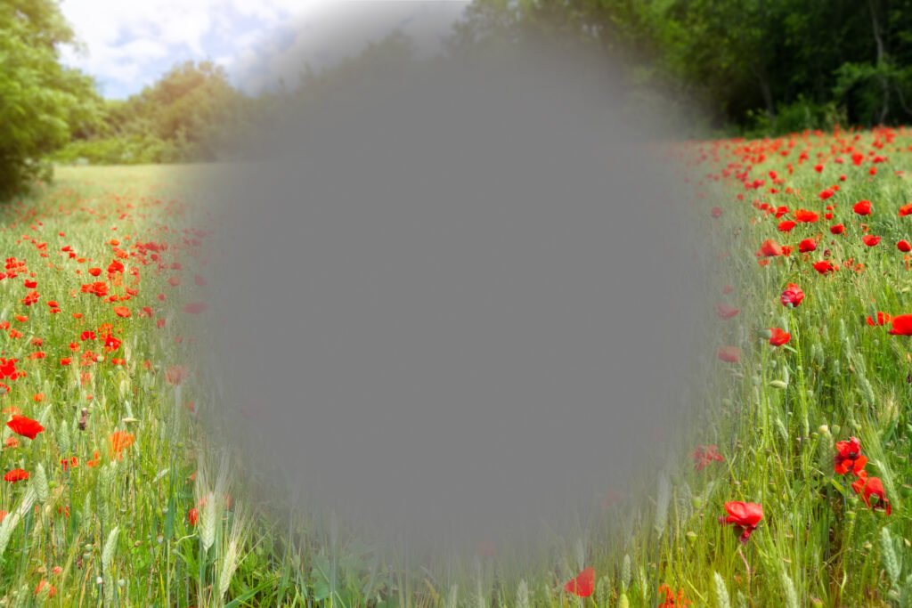 Blind spots in vision illustration