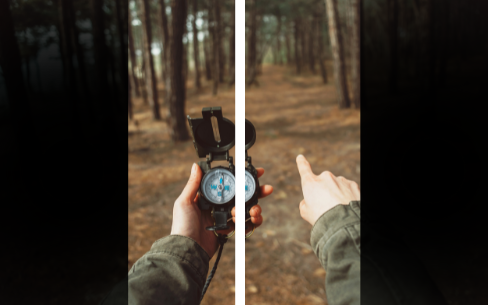 Heteronymous Hemianopsia