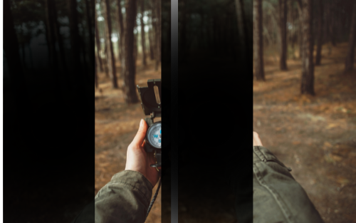 Homonymous Hemianopsia