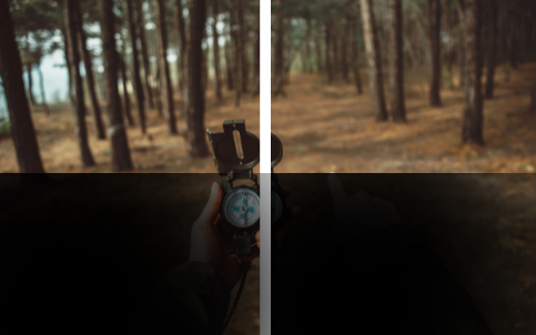 Inferior Hemianopsia