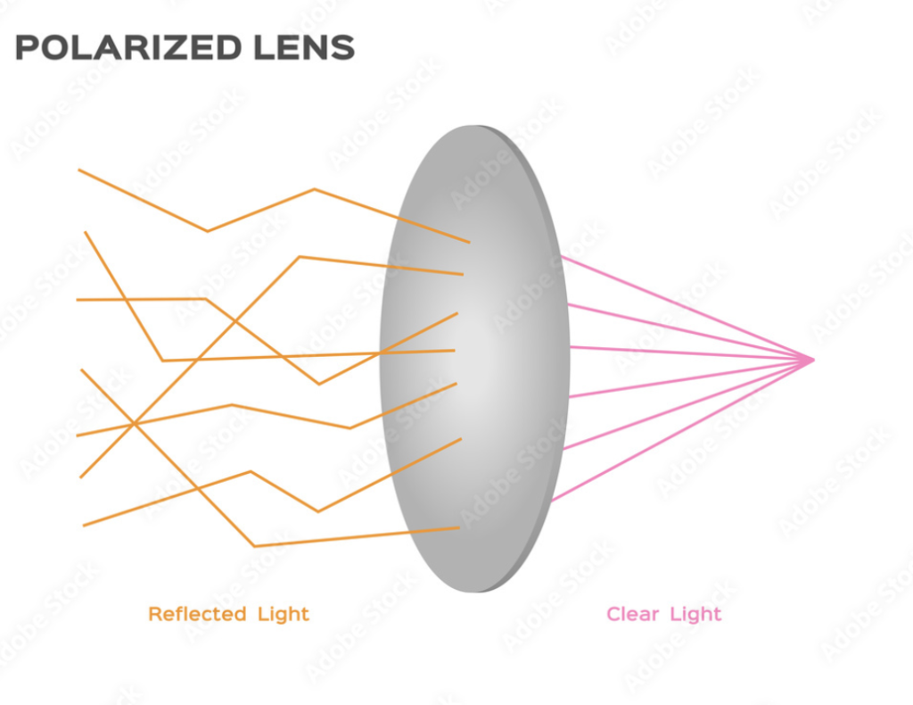 Diagram titled "Polarized Lens" showing a lens with orange lines labeled "Reflected Light" being blocked by the lens, and pink lines labeled "Clear Light" passing through the lens.