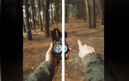 Bitemporal hemianopsia illustration