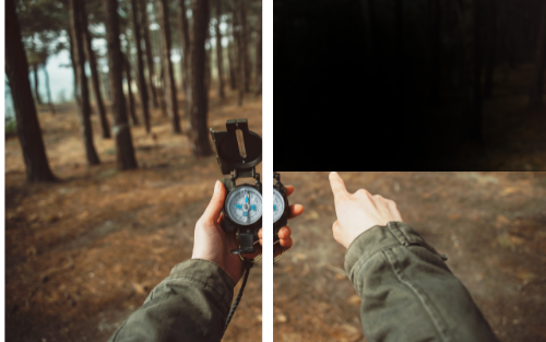 Quadrantanopia Hemianopsia