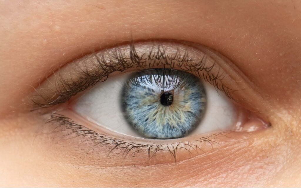 Close up shot of woman s eyes with miosis