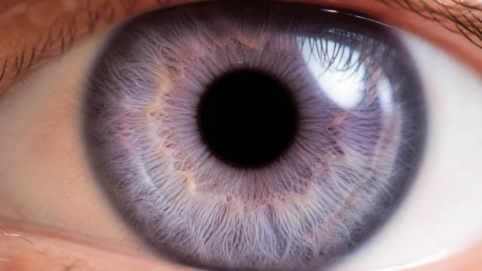 Extreme closeup of violet eyes