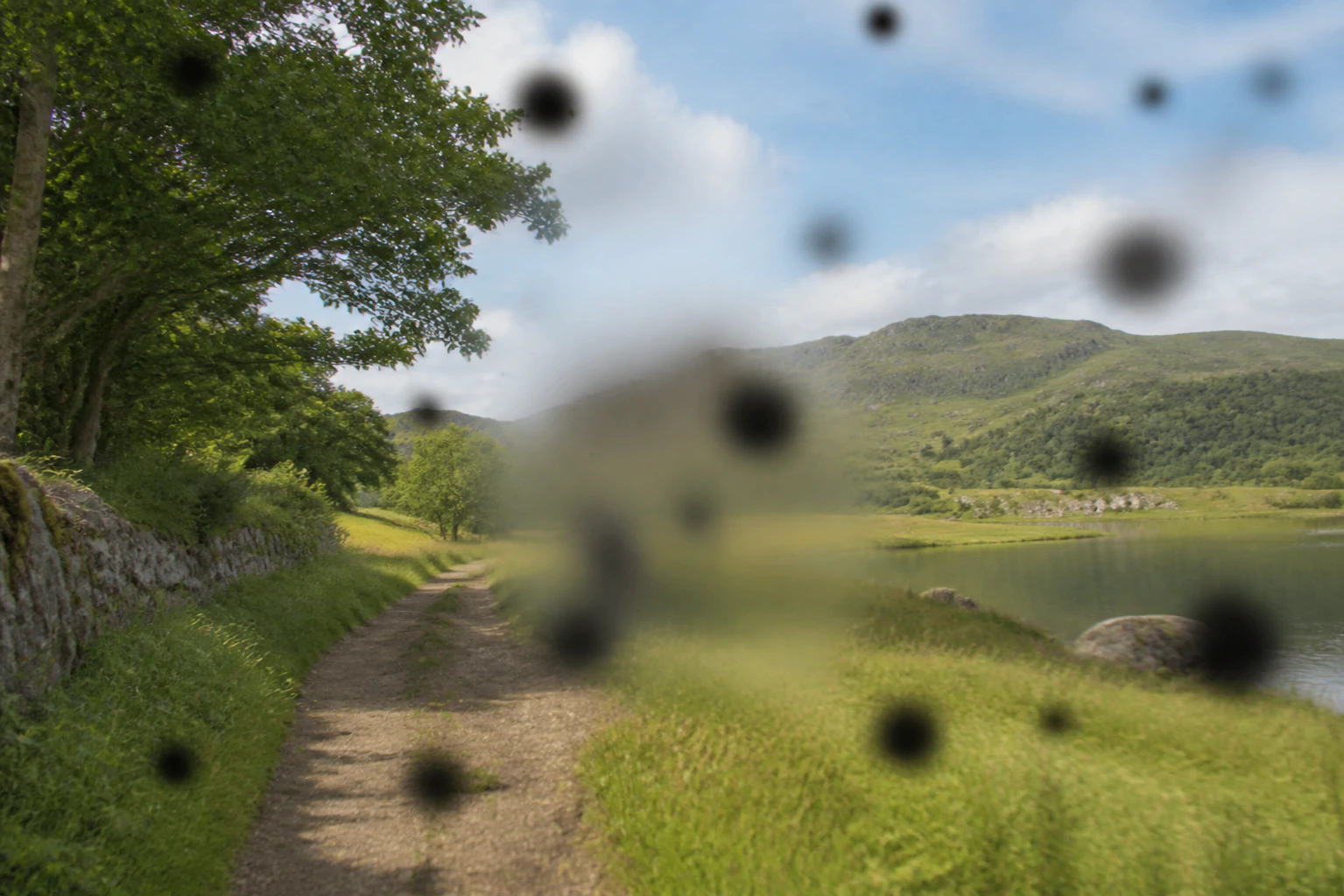 Spots floating in the vision and a blurred vision caused by high blood sugar levels damaging the back of the eye retina showing a sign of