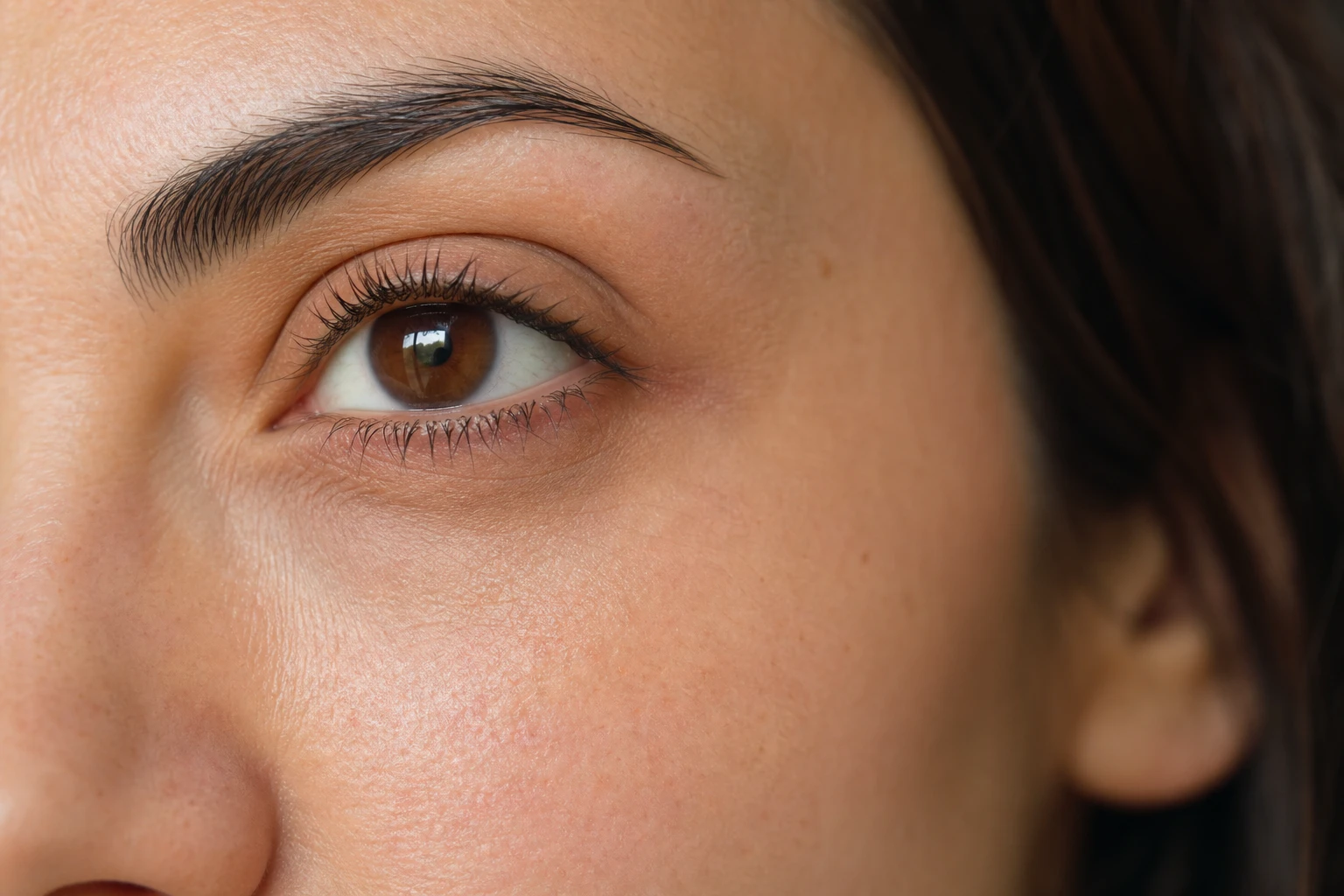 Close-up of a feminine eye with eyelashes and eyebrows
