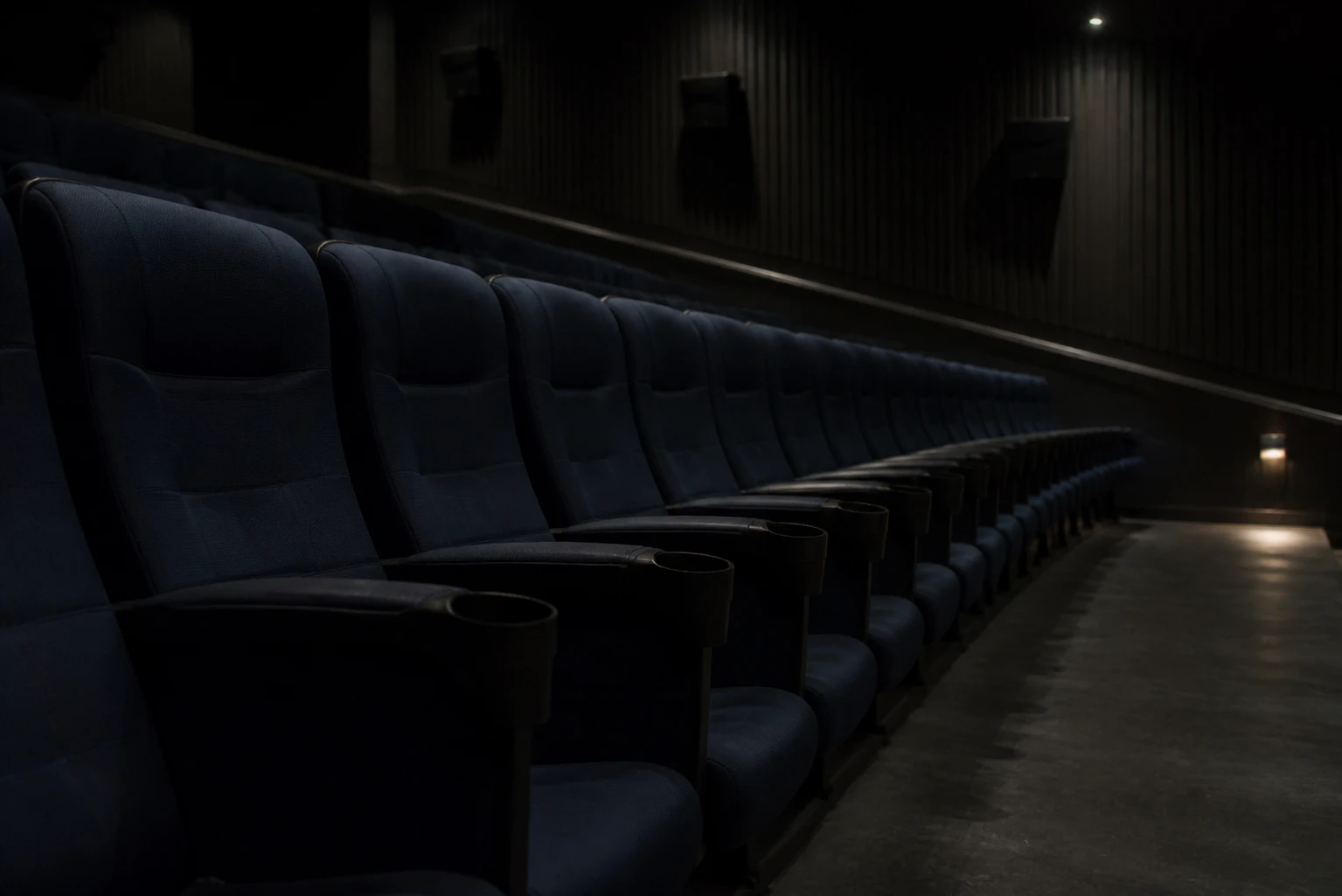Rows of seats in a movie theater being shown through a dim light