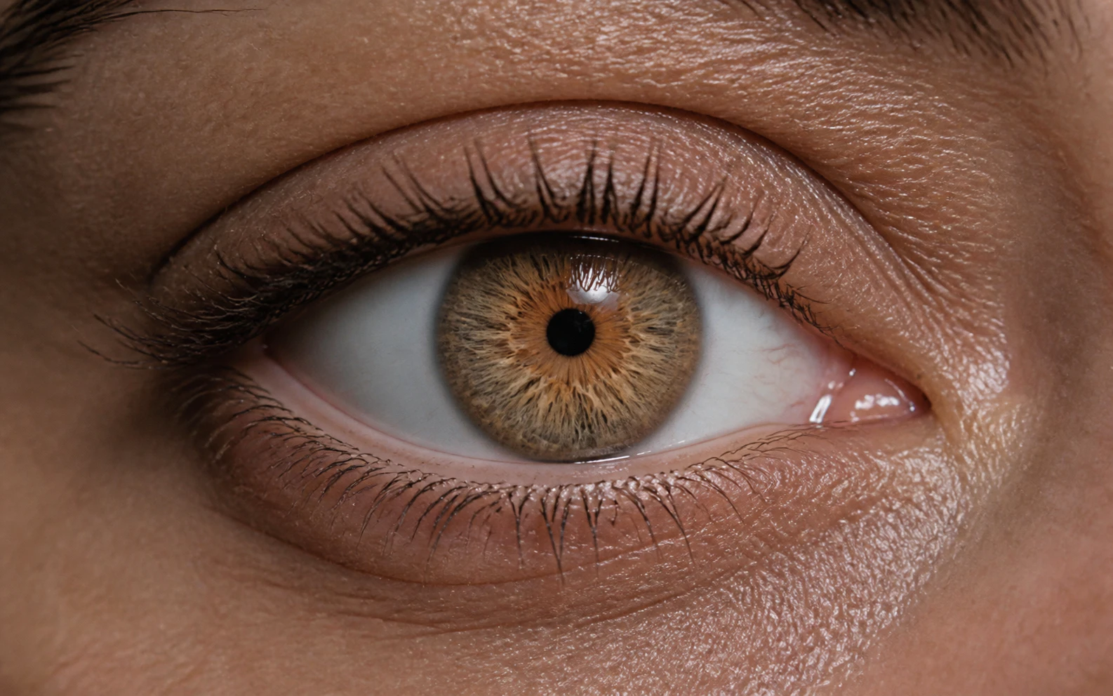 Close-up of a woman's eyes showing blue-gray iris color
