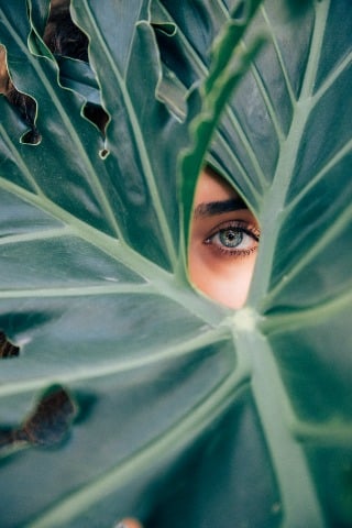 Glaucoma