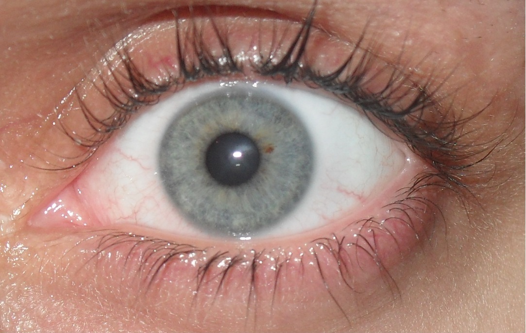 Grey eyes