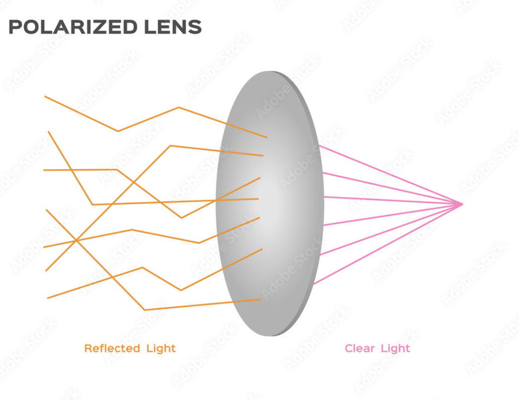 Diagram titled "Polarized Lens" showing a lens with orange lines labeled "Reflected Light" being blocked by the lens, and pink lines labeled "Clear Light" passing through the lens.